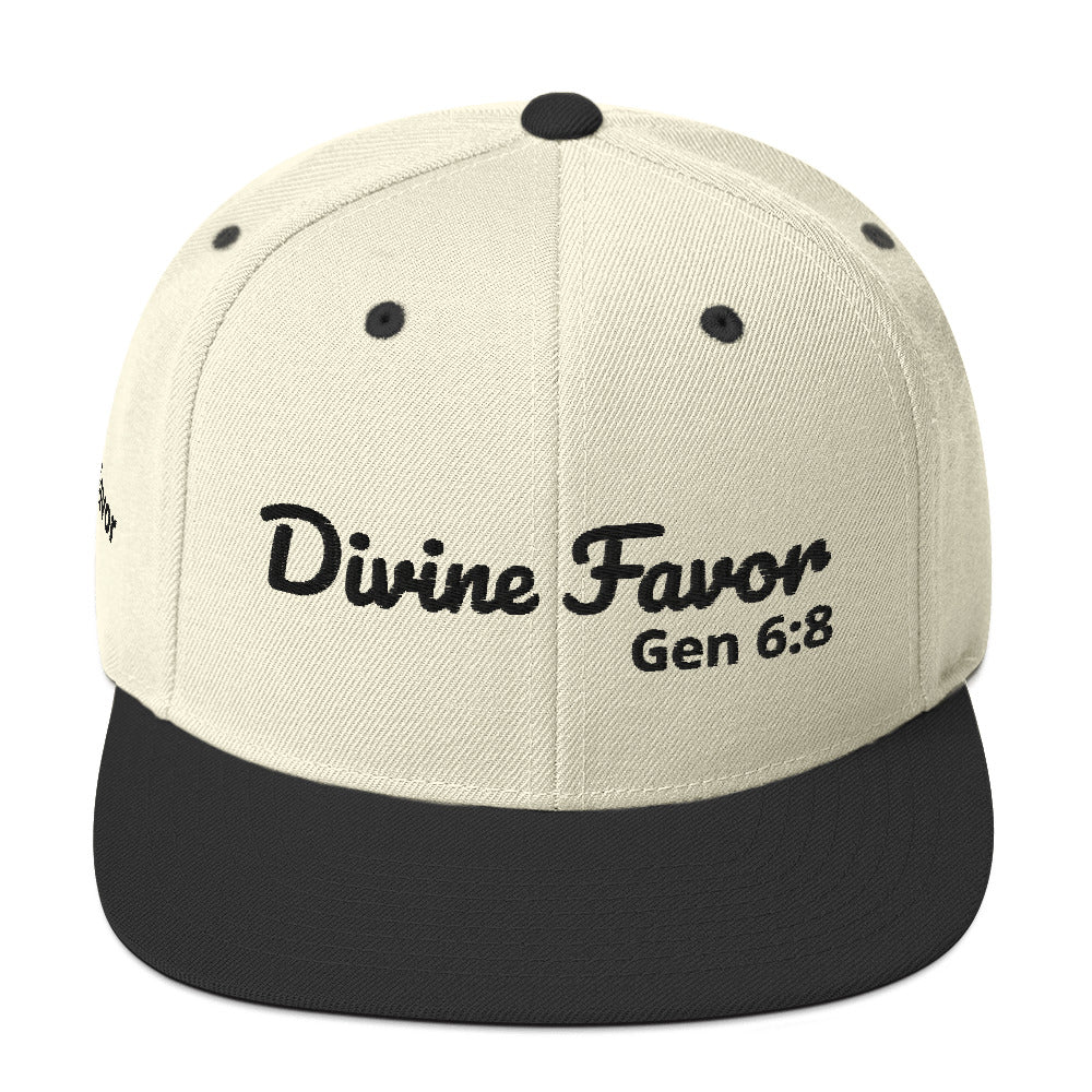 Snapback Hat with "Divine Favour" embroidered at the front and "favour" at the right hand side, (available in 3 colours)